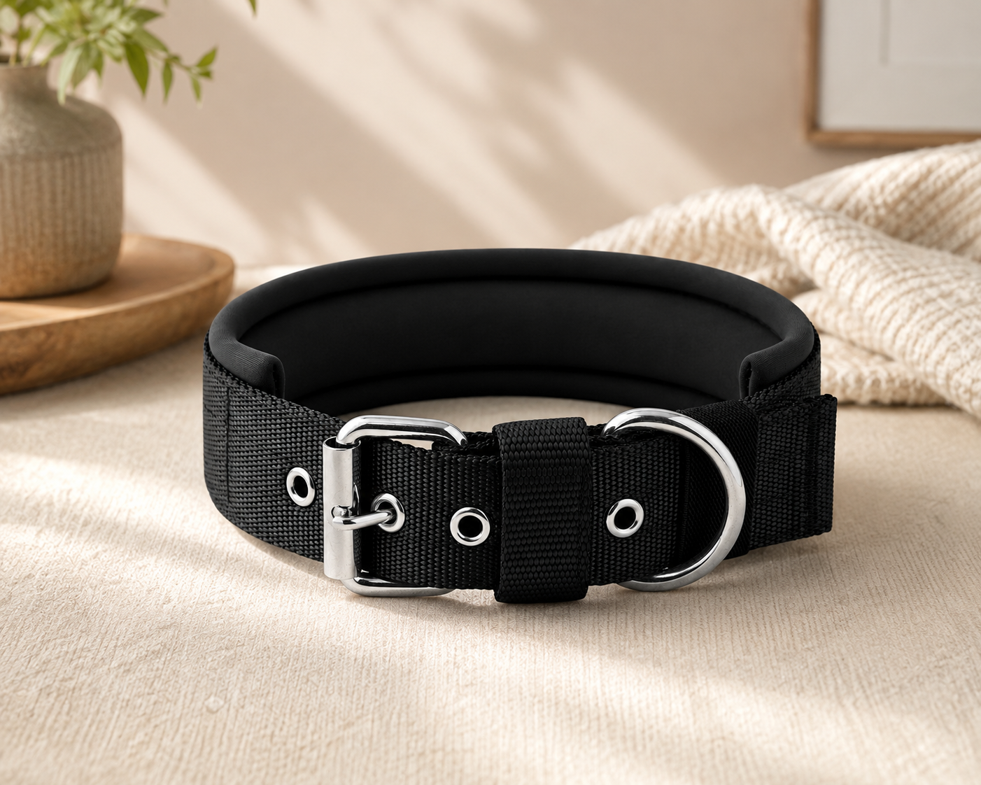 Adjustable Padded Dog Collar with Metal Buckle & D-Ring for Everyday Use