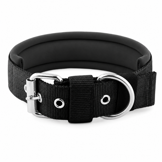 Adjustable Padded Dog Collar with Metal Buckle & D-Ring for Everyday Use