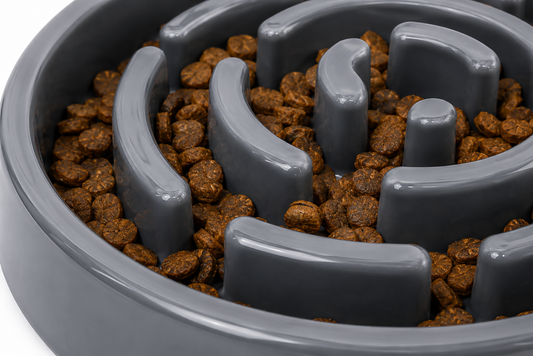 Interactive Slow Feed Pet Bowl with Maze Pattern for Dogs and Cats