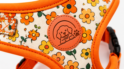 Floral Orange Dog Harness with Soft Adjustable Comfort Fit