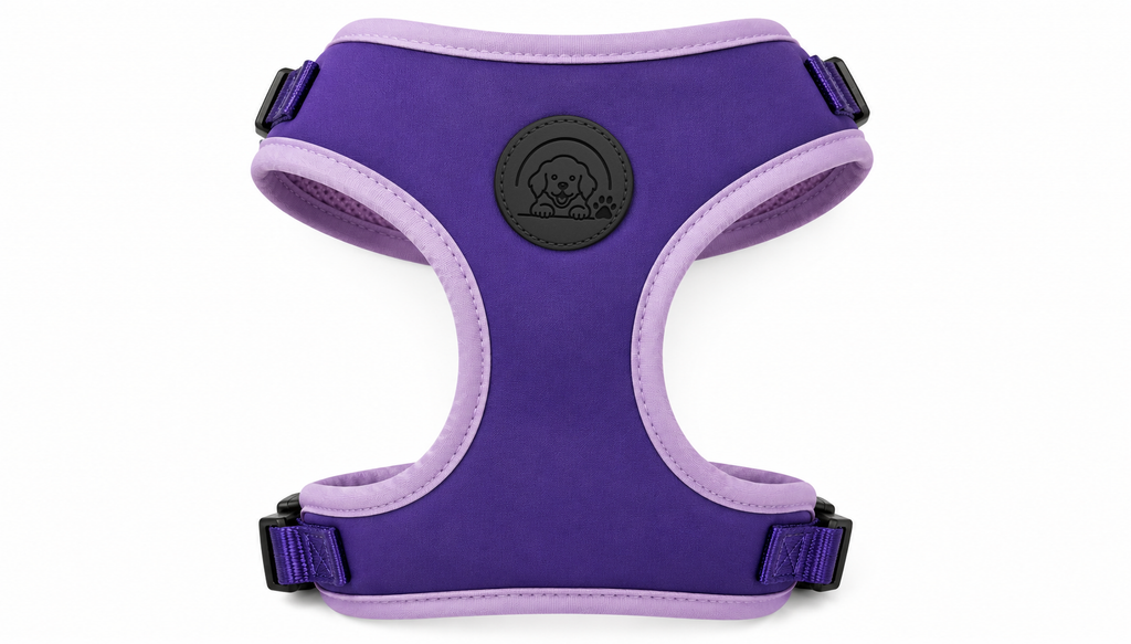 Purple No-Pull Dog Harness with Soft Adjustable Comfort Fit