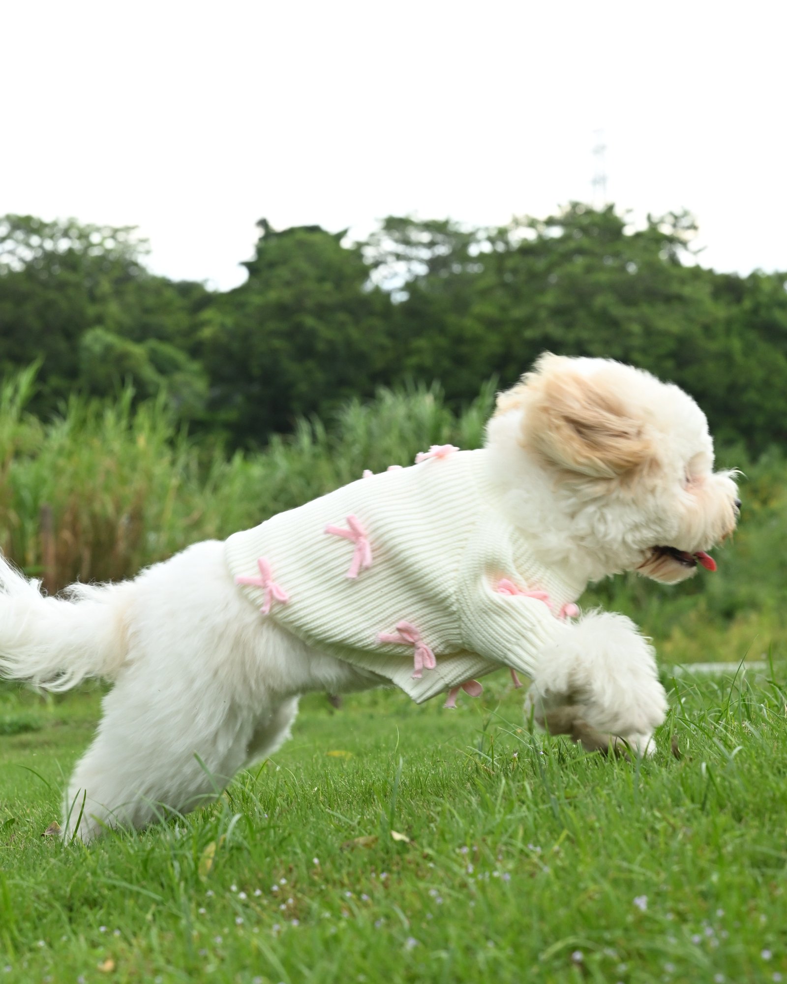 Pink Bow-3D Motif Pet Sweater - Image 4