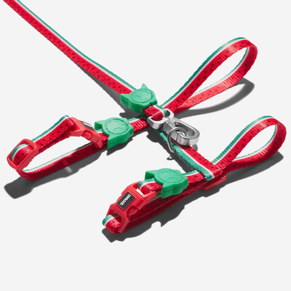 Lola | Cat Harness with Leash - Image 2