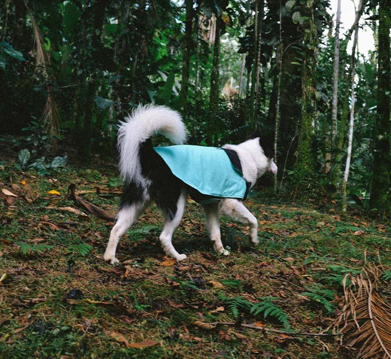 Mint | Winter Coat - Image 8