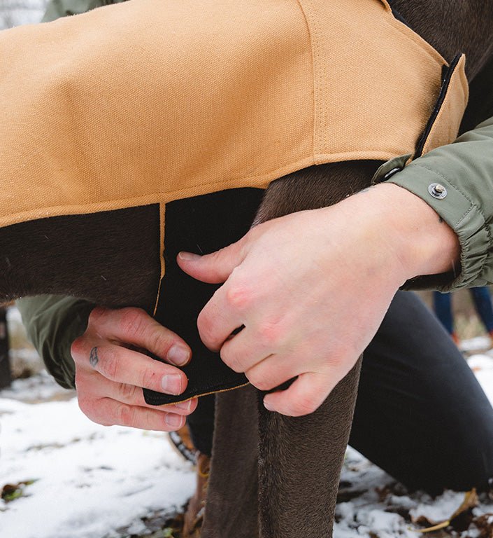 Pink | Coat - Image 8