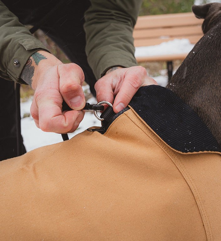 Pink | Coat - Image 9